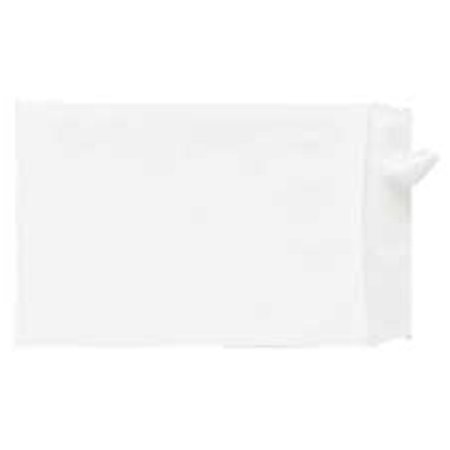 WORKSTATIONPRO Products Tyvek Open-End Envelope- Plain- 10in.x13in.x1-.50in.- 100-CT- White TH1620590